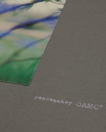 Loose Fit Tshirt Landart Print Grey - OAMC Peacemaker