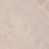 Foliage Print